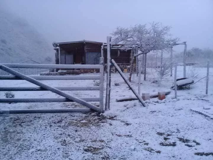 208457288_1141218586378250_1326750193748883107_n