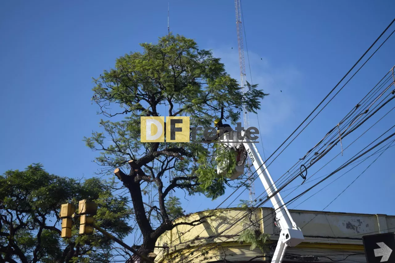 WhatsApp Image 2022-02-09 at 09.50.01