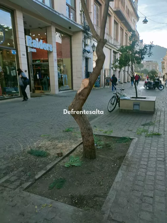 034cac8e-f16d-498d-8517-135bd6ada7cc