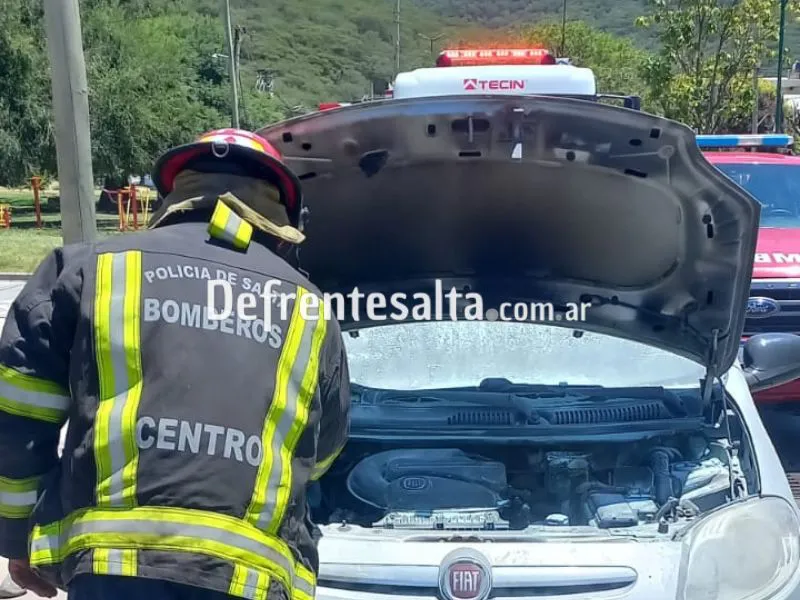 Bomberos sofocan el incendio del automóvil.