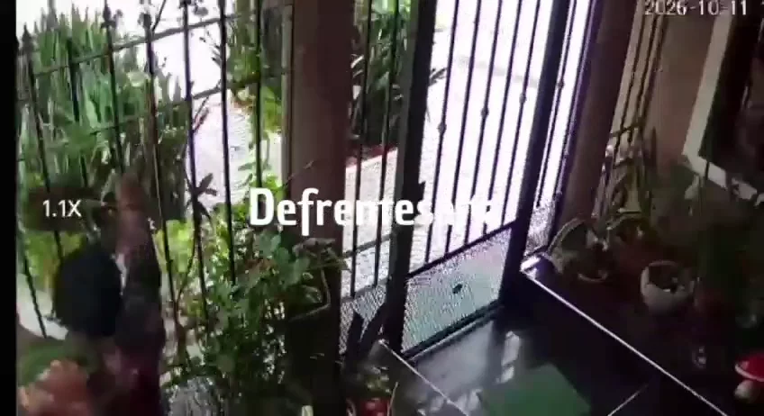 WhatsApp Video 2026-10-13 at 08.58.15