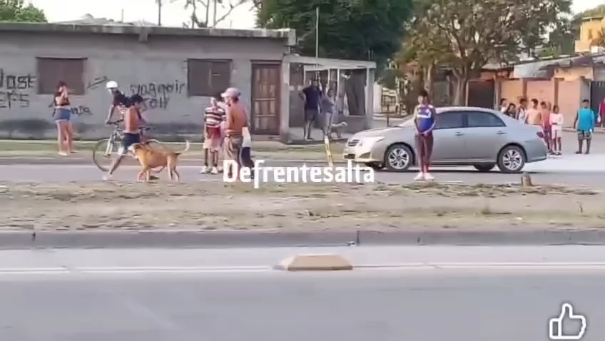 WhatsApp Video 2026-09-27 at 16.36.51