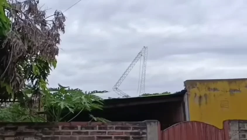WhatsApp Video 2026-10-28 at 11.50.12