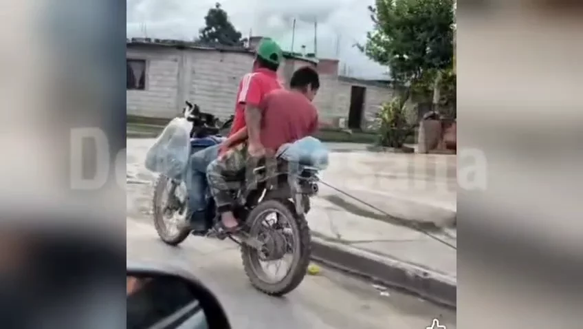 VID-20260329-WA0003(1)