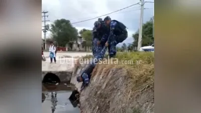 Así rescatan al perro en barrio San Ignacio.