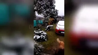 La nieve sorprendió a vecinos de La Caldera.