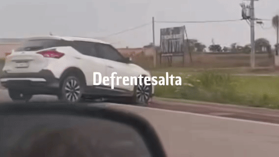 lv_0_20261002193311