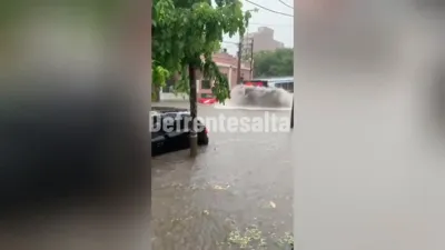 Un auto estacionado se mueve tras el paso del colectivo. 