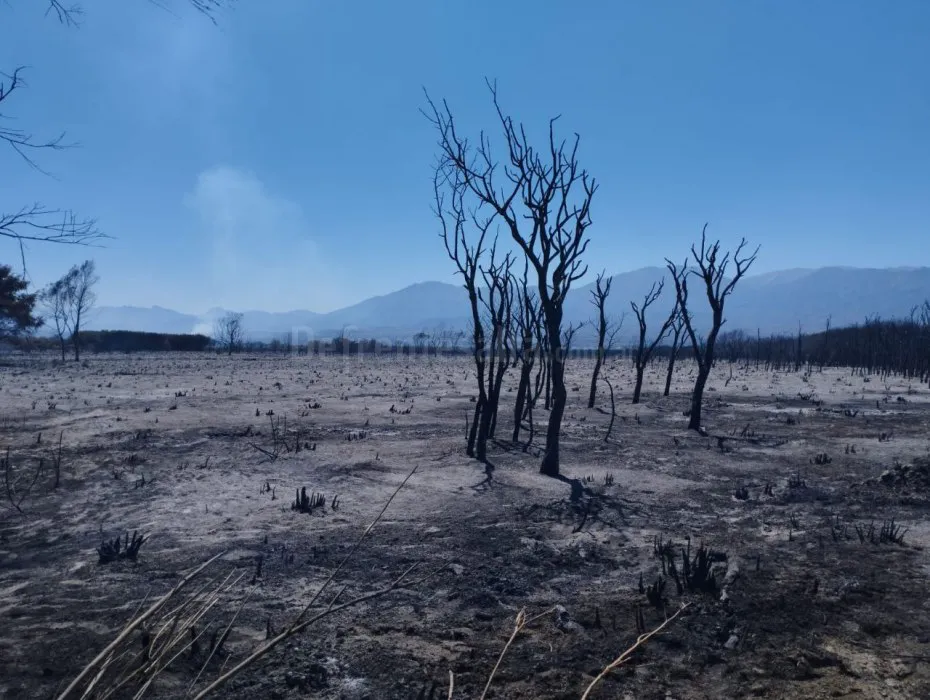 Así quedó Cafayate tras el incendio