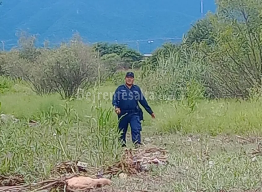 Hallazgo en barrio Los Lapachos 2