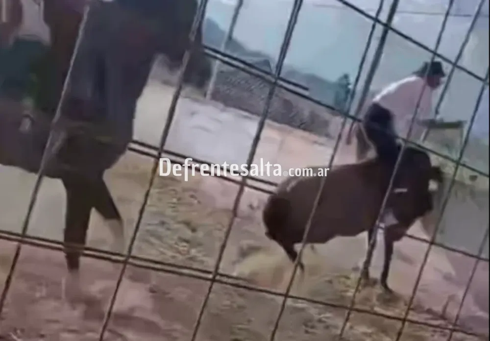 Caballo fallecido