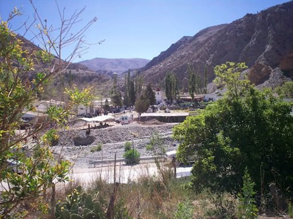 San Bernardo de la zorra