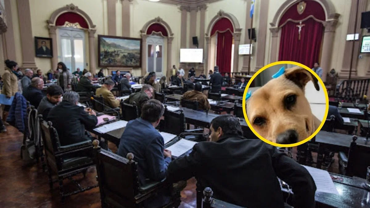 CIRCULO (2)