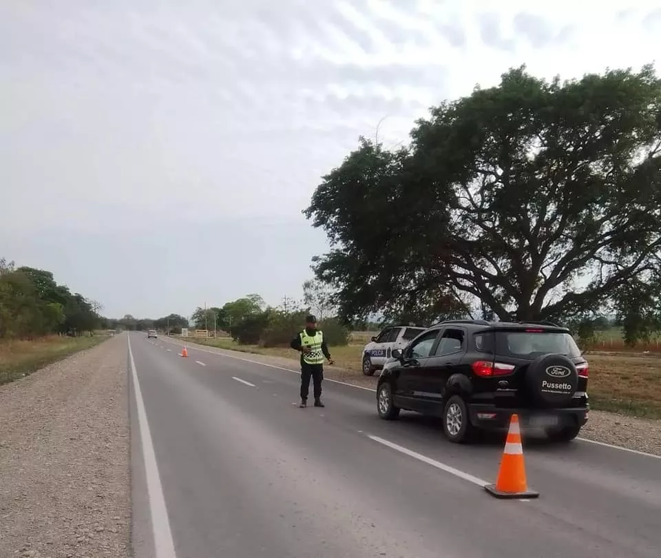 Conductores alcoholizados 24