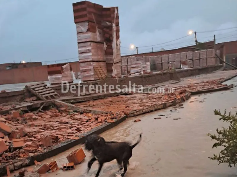 Paredón de Bª Cerámica
