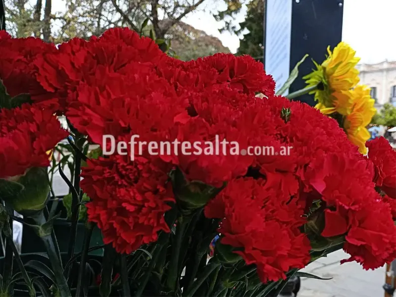 Claveles del Milagro