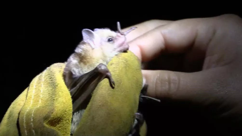 5ad5d96cd4f54_1004x565