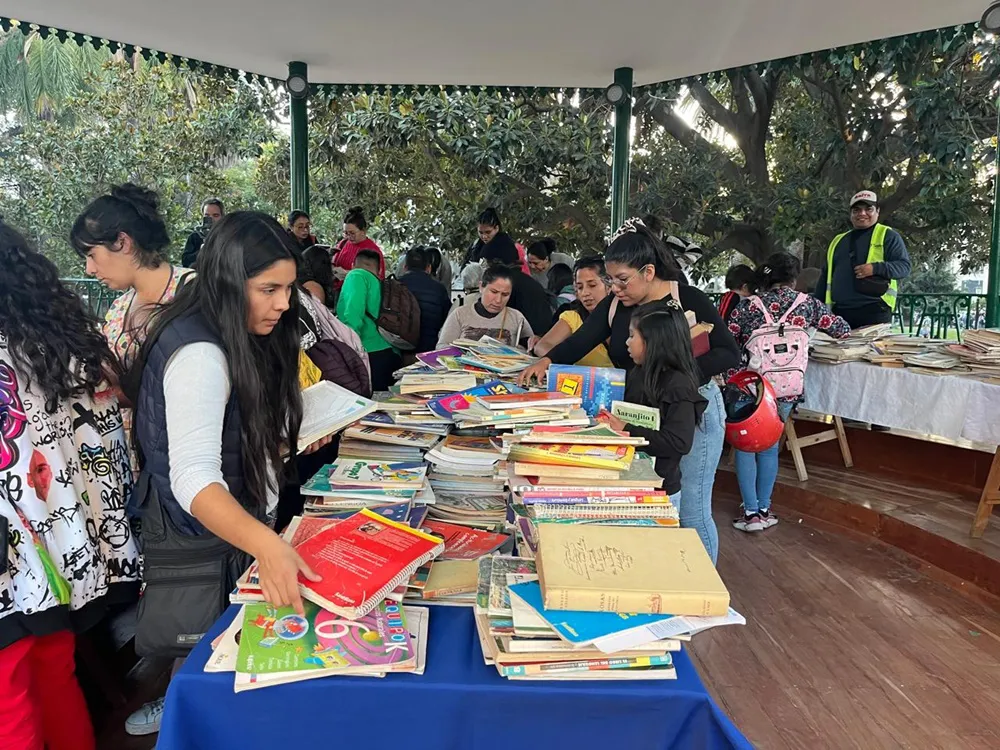 Suelta de libros