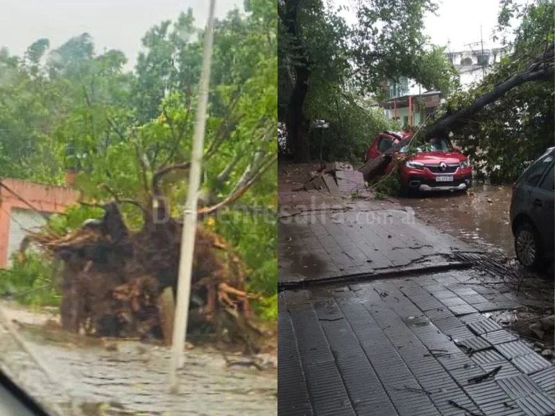 Temporal en Tartagal.