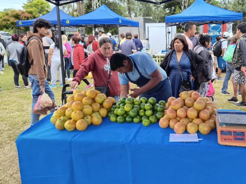 Mercado en tu barrio llega a Santa Lucía. 