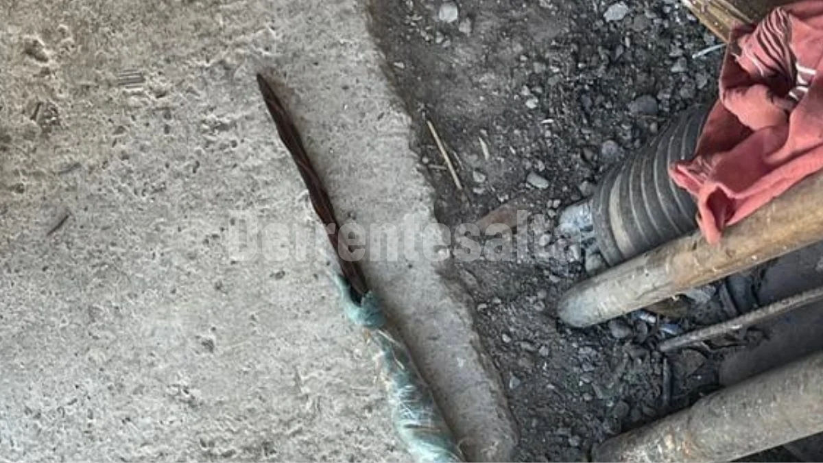 web nueva 1200 x 675_20260402_231602_0000