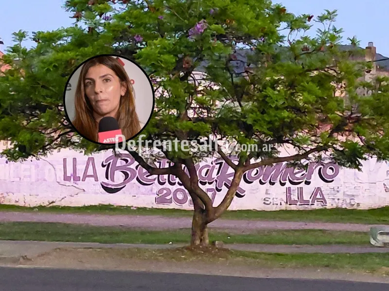 Pintadas de Bettina Romero 2027.