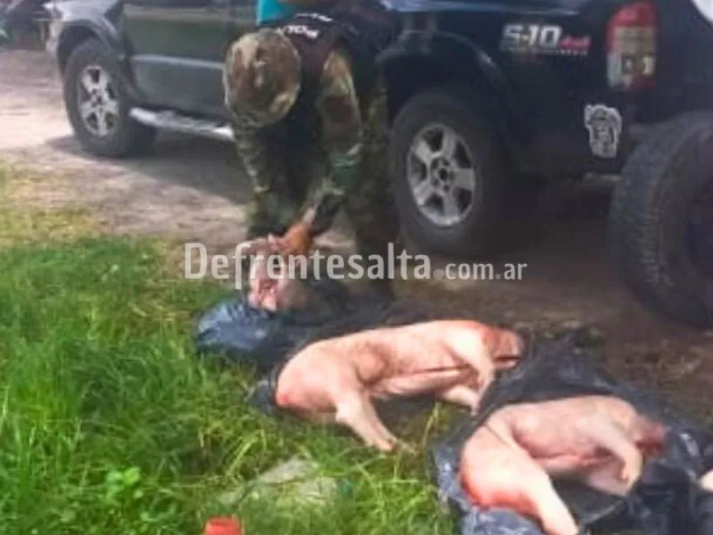 Los animales secuestrados.