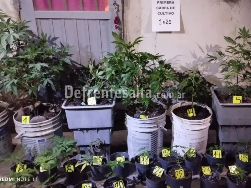 La droga secuestrada.