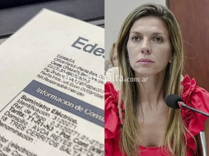 Proponen desdoblar los impuestos municipales de la boleta de la luz