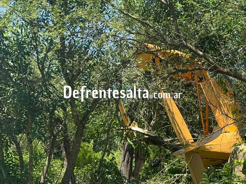 La aeronave que se cayó en zona norte.