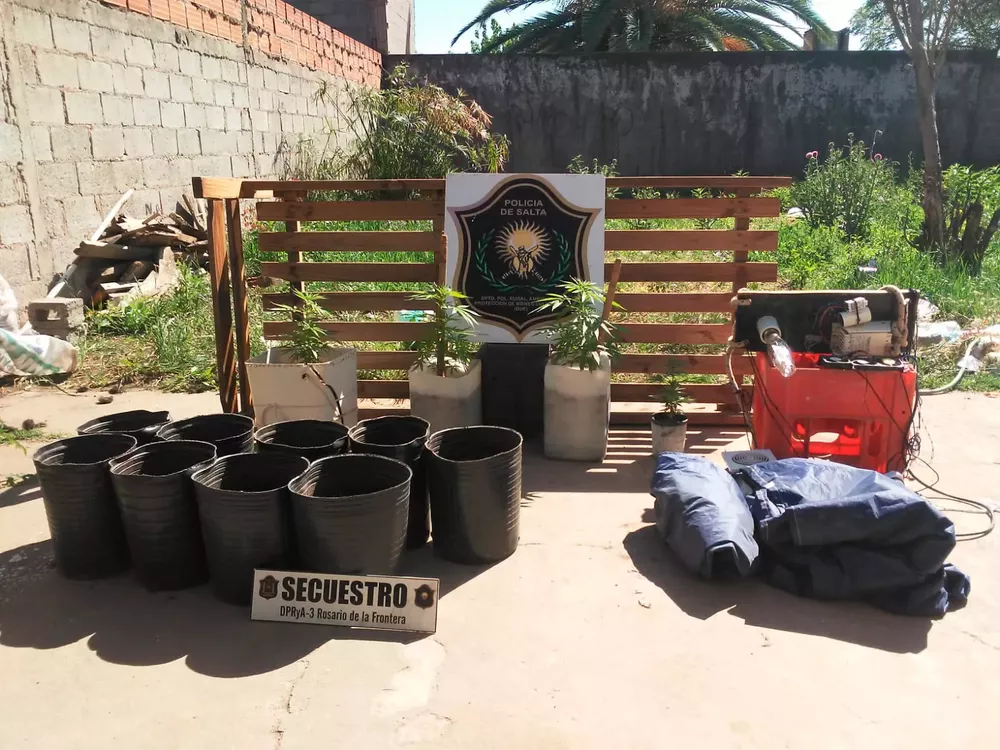 Secuestro invernadero