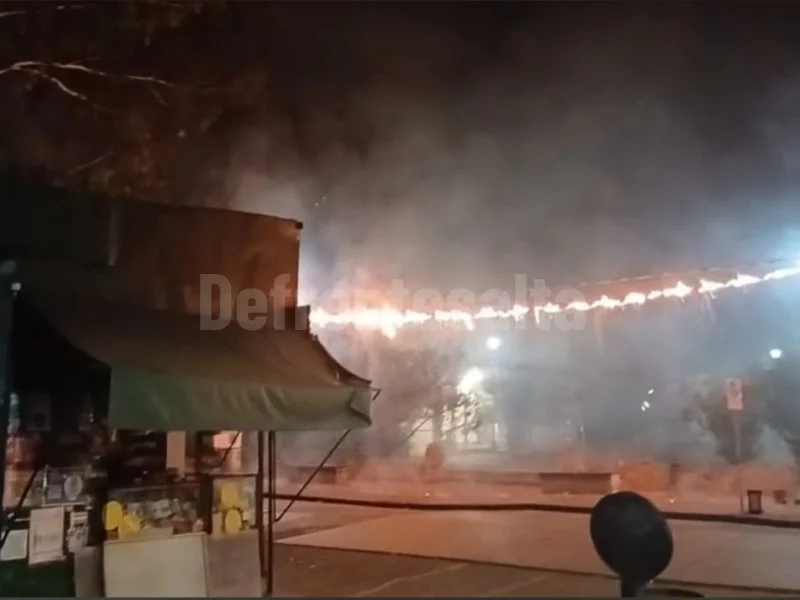 Incendio de cables en el parque San Martín.