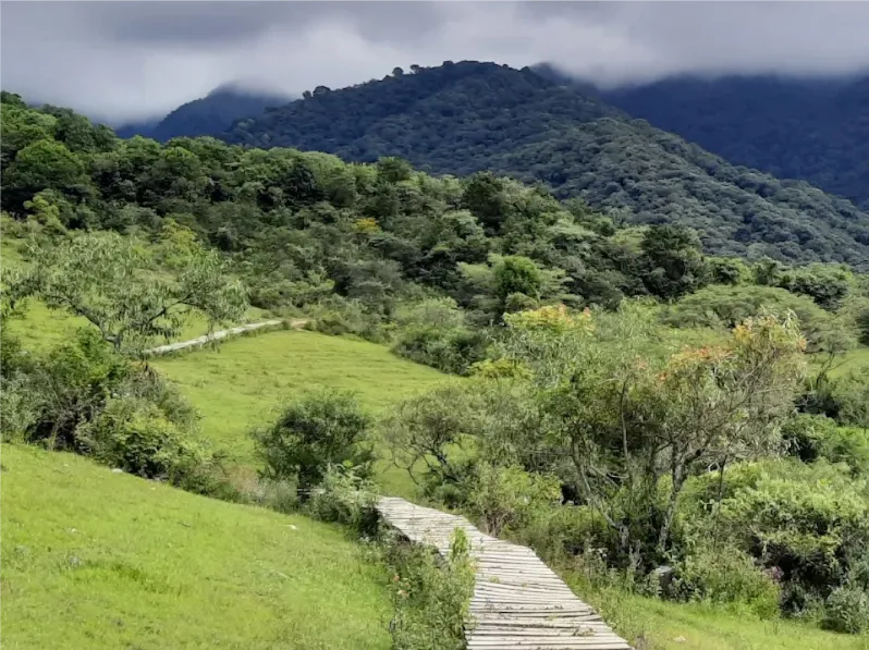 Yungas San Lorenzo.-
