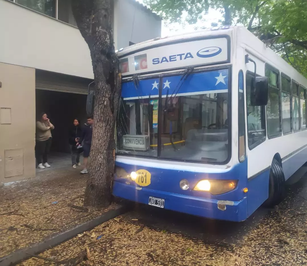 SAETA B CONVIVENCIA