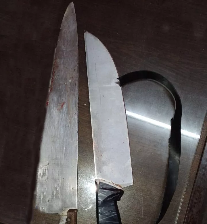 Cuchillo Palermo I