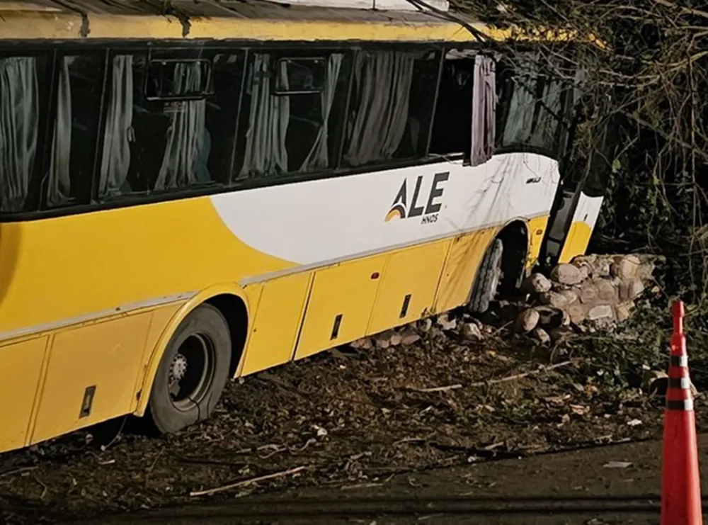 Colectivo Ale Hermanos