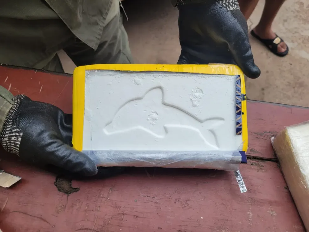 santiago_del_estero-ambulancia-cocaina-134_kilos_5