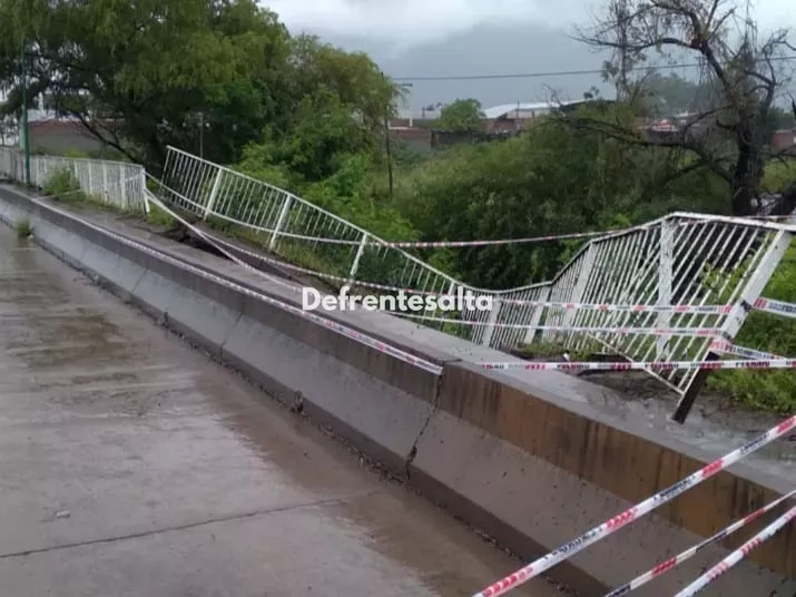 Puente. Av. Tavella.