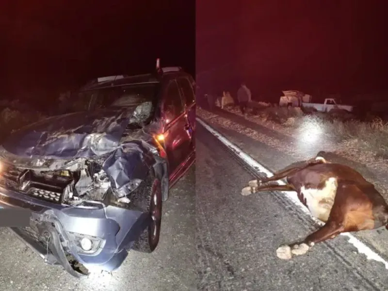 Siniestro fatal en Hipólito Yrigoyen.