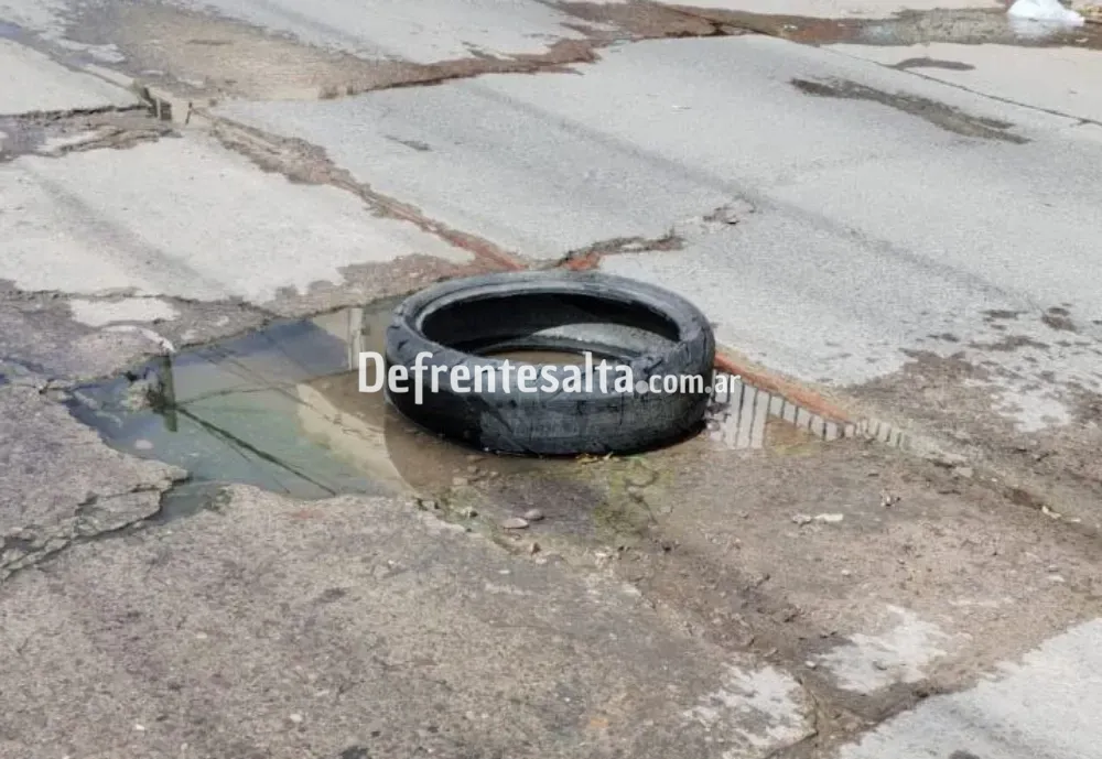 Bache en Urquiza y Olavarria