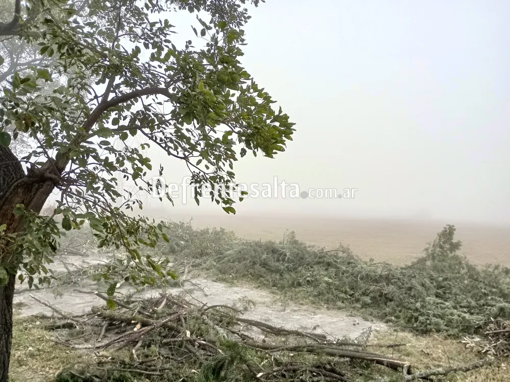 Salta con neblina.
