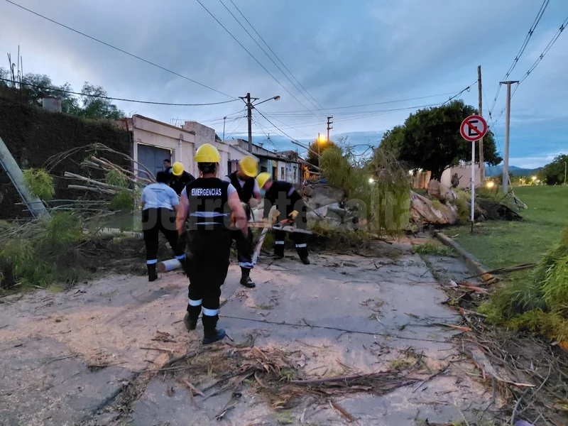 Operarios remueven las ramas.