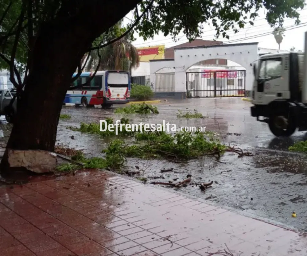Temporal en Salta 2
