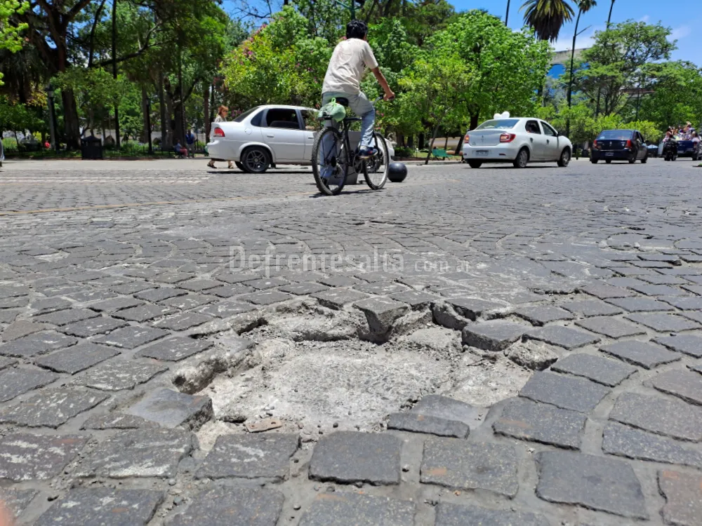 Bache en Plaza 9 de Julio