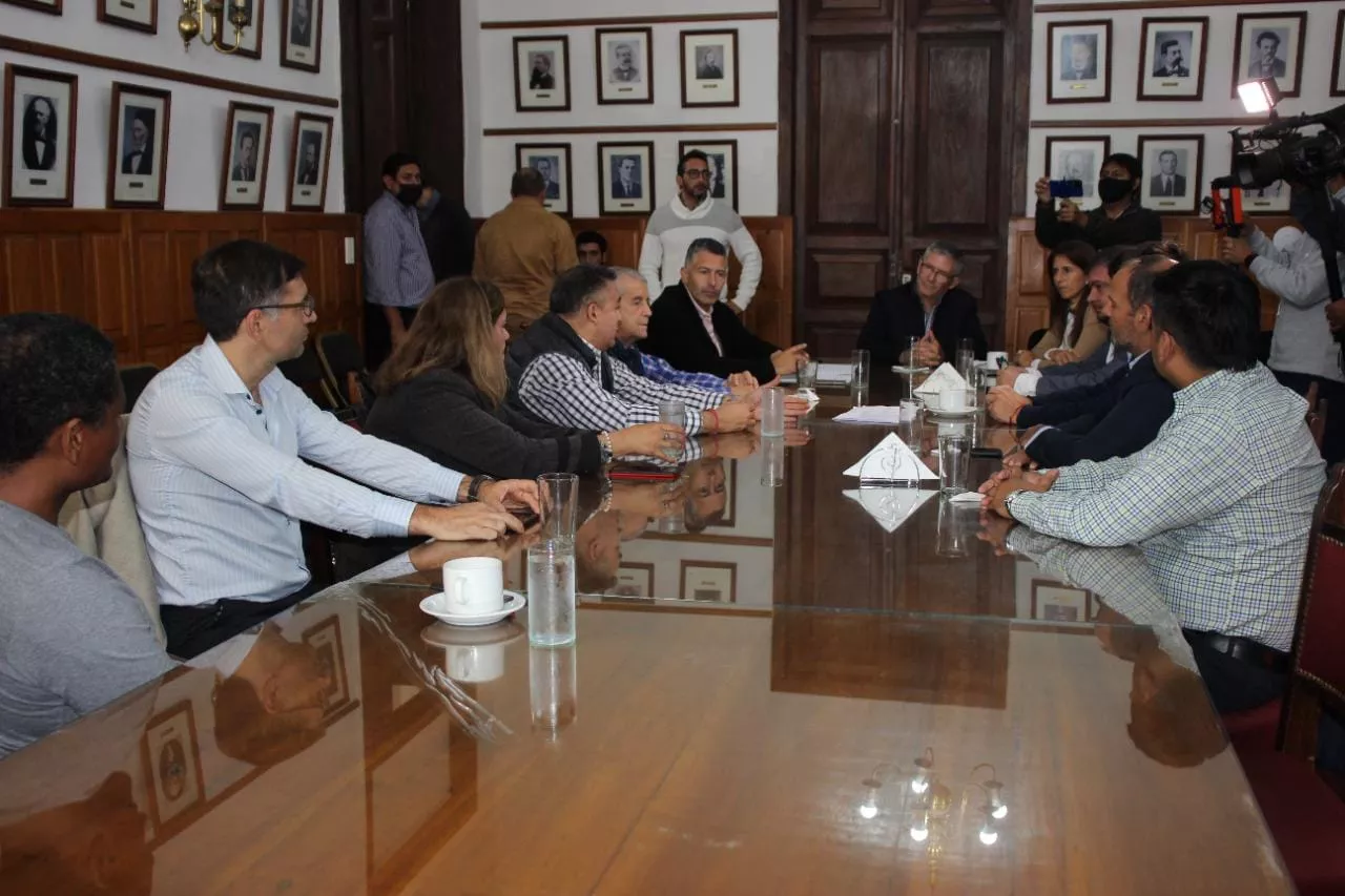 diputados