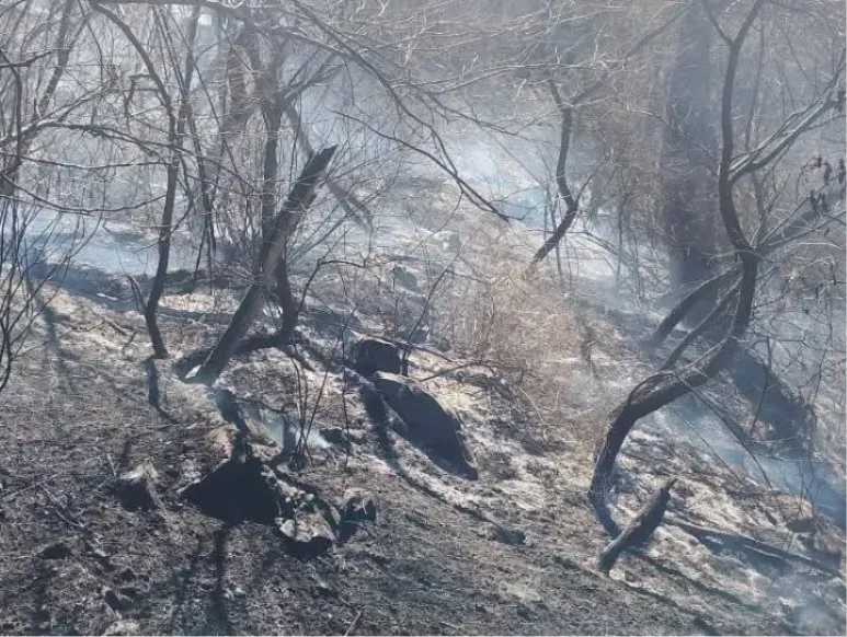 El incendio en el cerro San Bernardo.