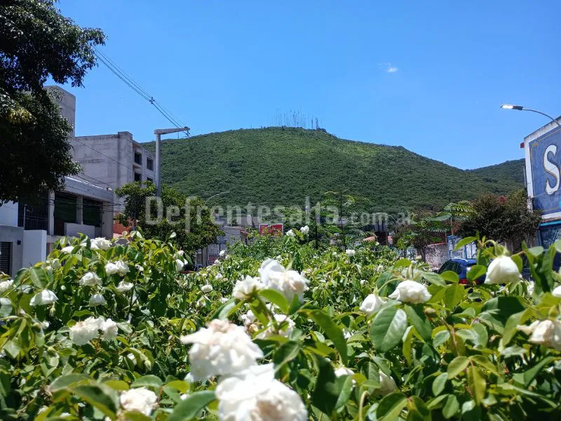 Vista al cerro 20 de Febrero.