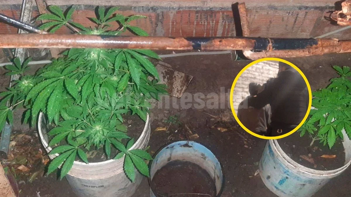 DETENIDO MARIHUANA