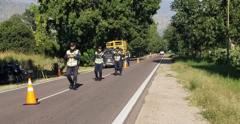 Conductores alcoholizados