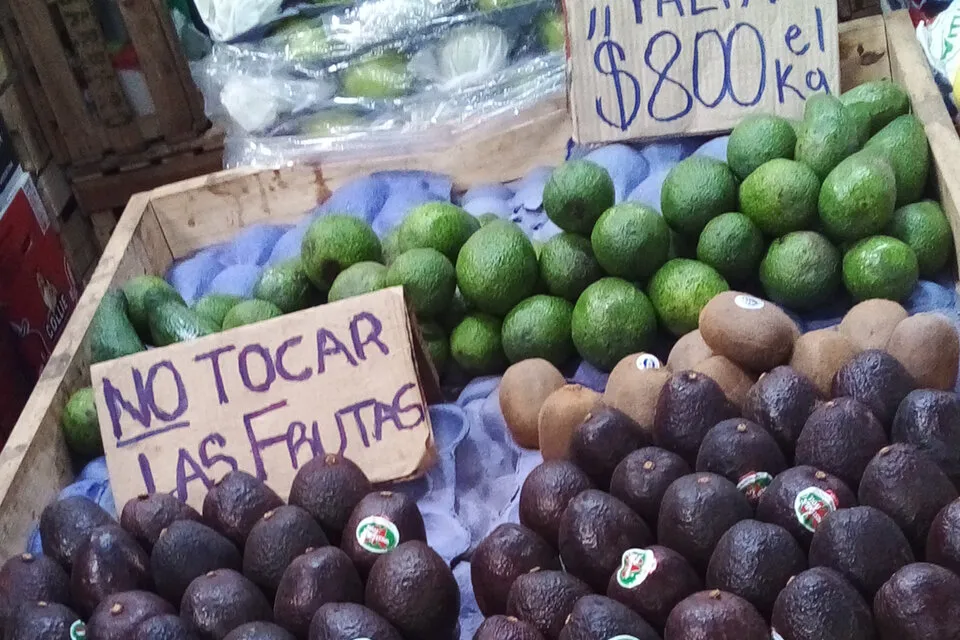 Palta